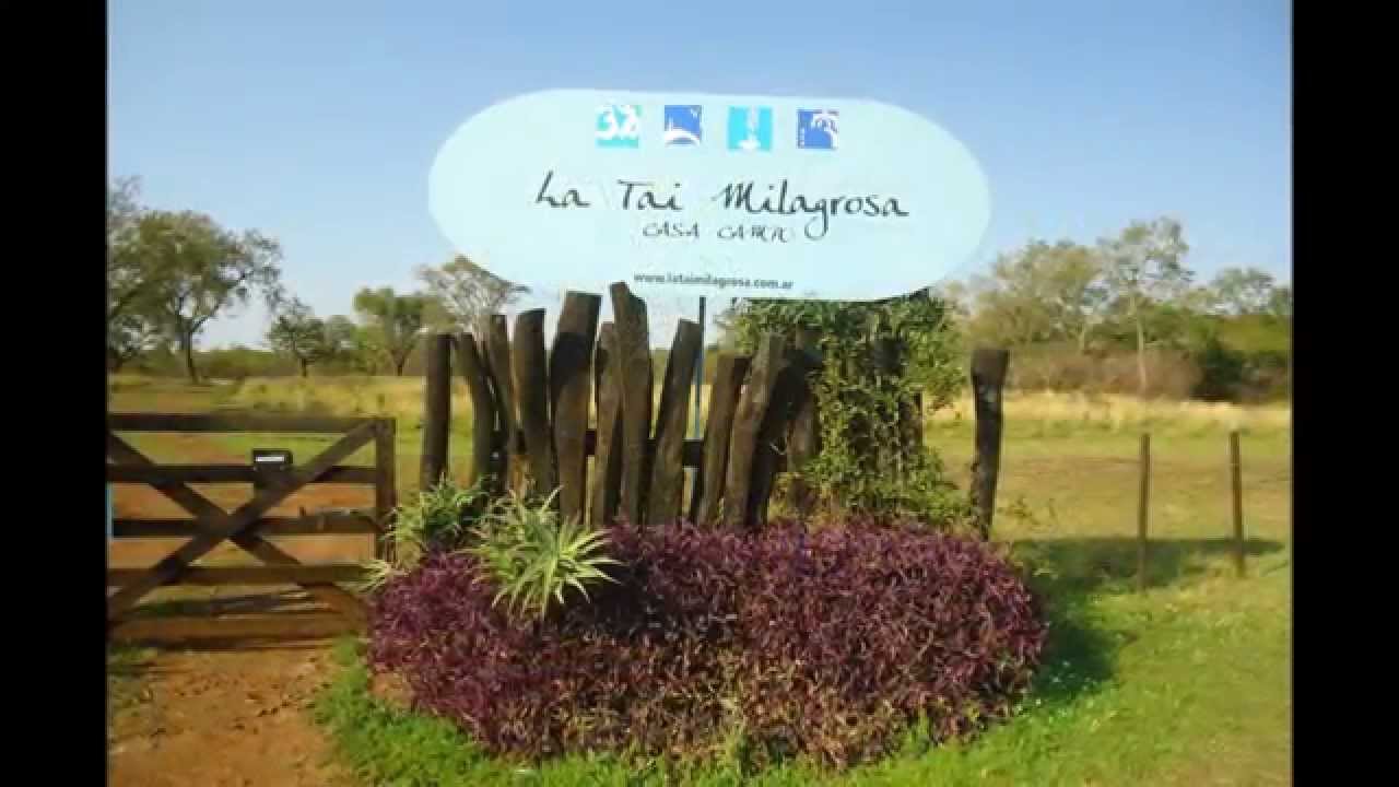 Difunden el talento de artistas y hermosos paisajes de San José
