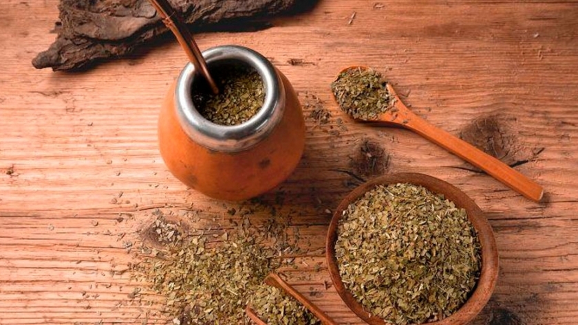 La yerba mate, el oro verde