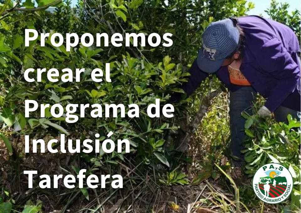 RECONOCIMIENTO A LAS Y LOS QUE PRODUCEN LA YERBA DE LOS MATES DE CADA DÍA