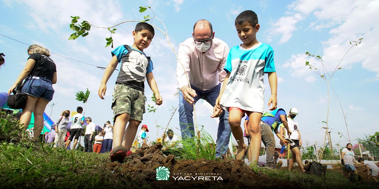 Yacyretá plantó 60.000 árboles de especies nativas en Posadas y Garupá