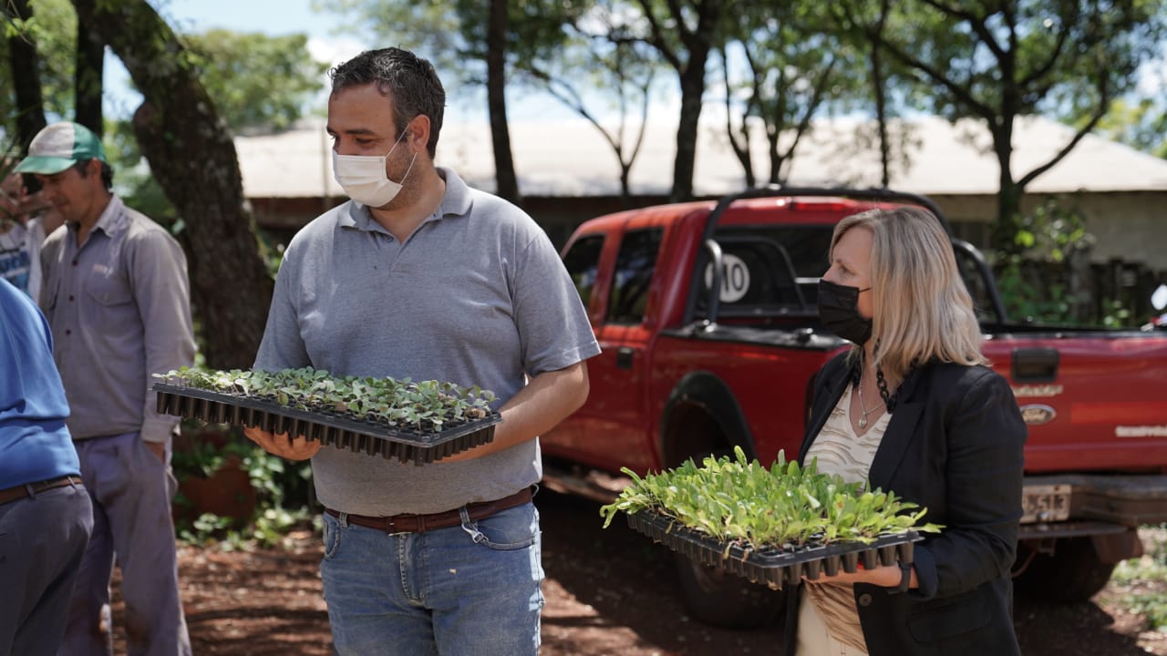 María E. Safrán «Nosotros lo que queremos es empezar a incentivar la plantación de frutas tropicales»