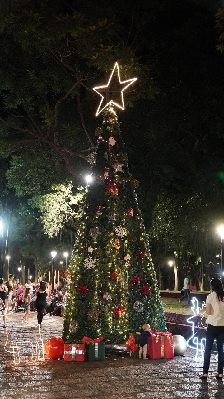 La ciudad de Apóstoles inauguró la época navideña con el tradicional encendido de luces del gigantesco árbol ubicado en la Plaza San Martín