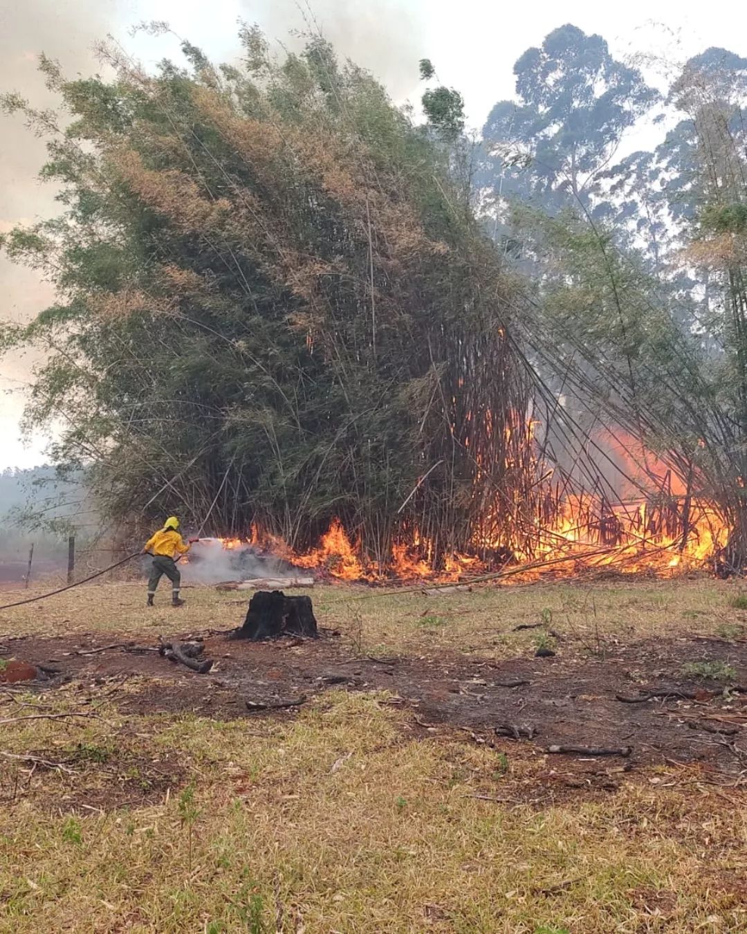 Arduos trabajos para combatir los focos de incendio en varios puntos de la provincia