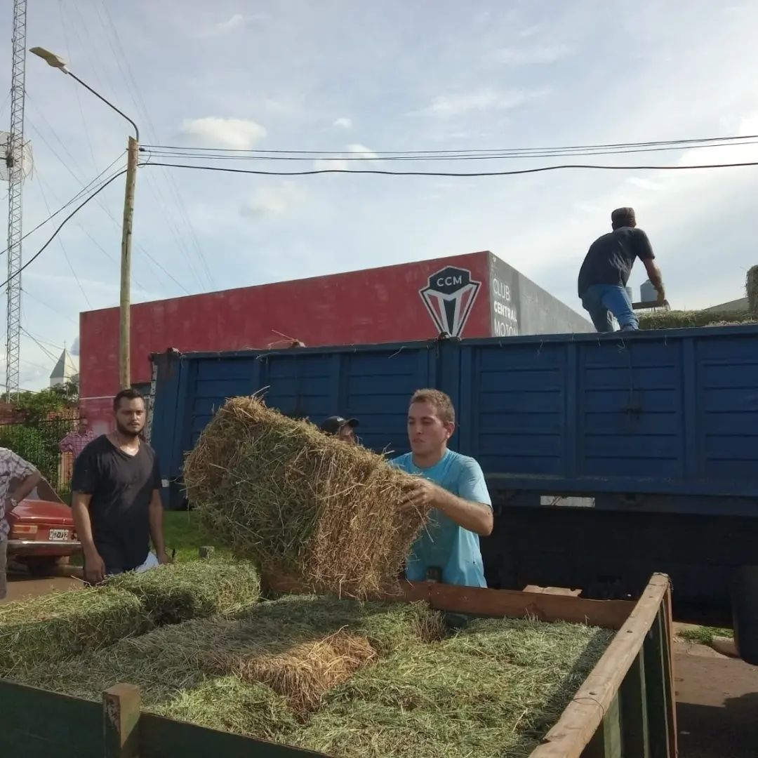 Entregaron forraje para alimentación de animales en Mojón Grande