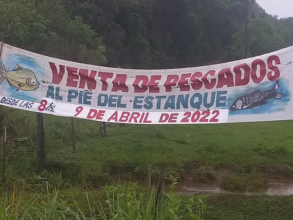 Cosecha y venta de peses este sábado 9 de abril en Tres Capones