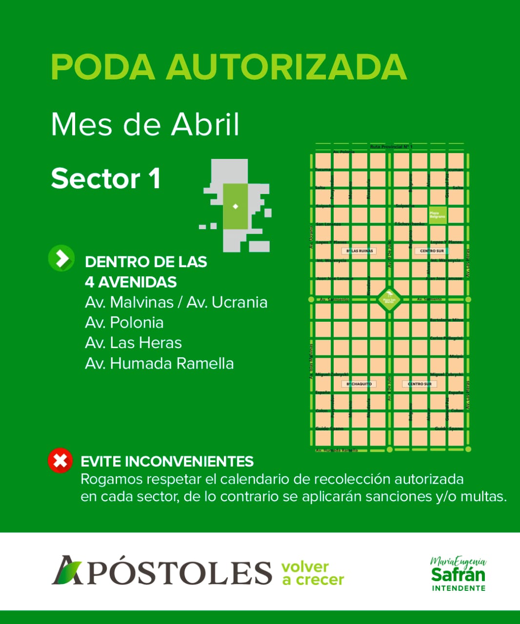 Recuerdan que las podas autorizadas en el mes de abril corresponden al sector 1 de la ciudad.