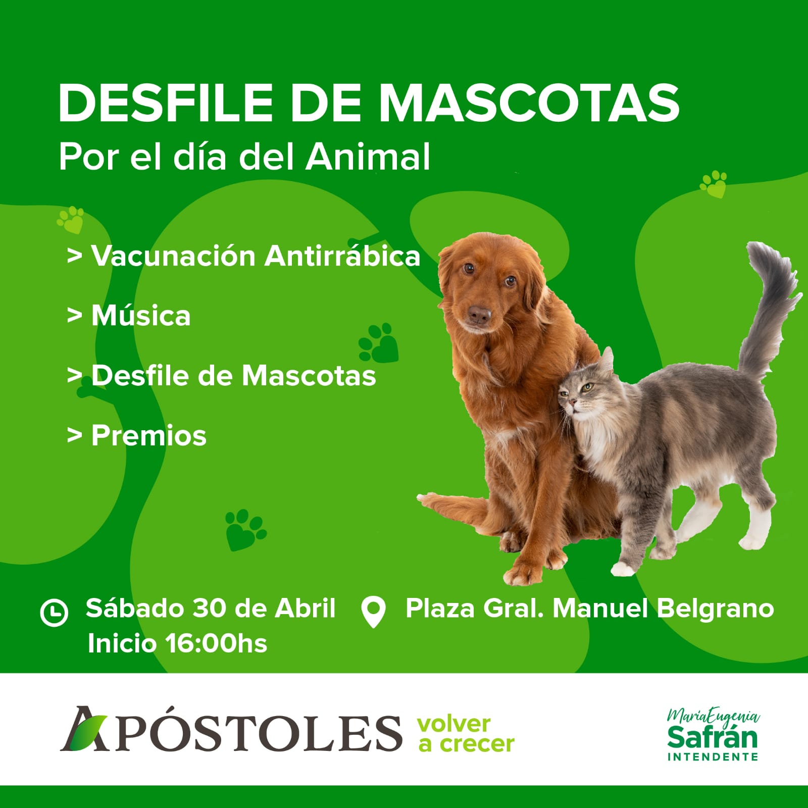 Se llevará a cabo un desfile de mascotas por el día del animal