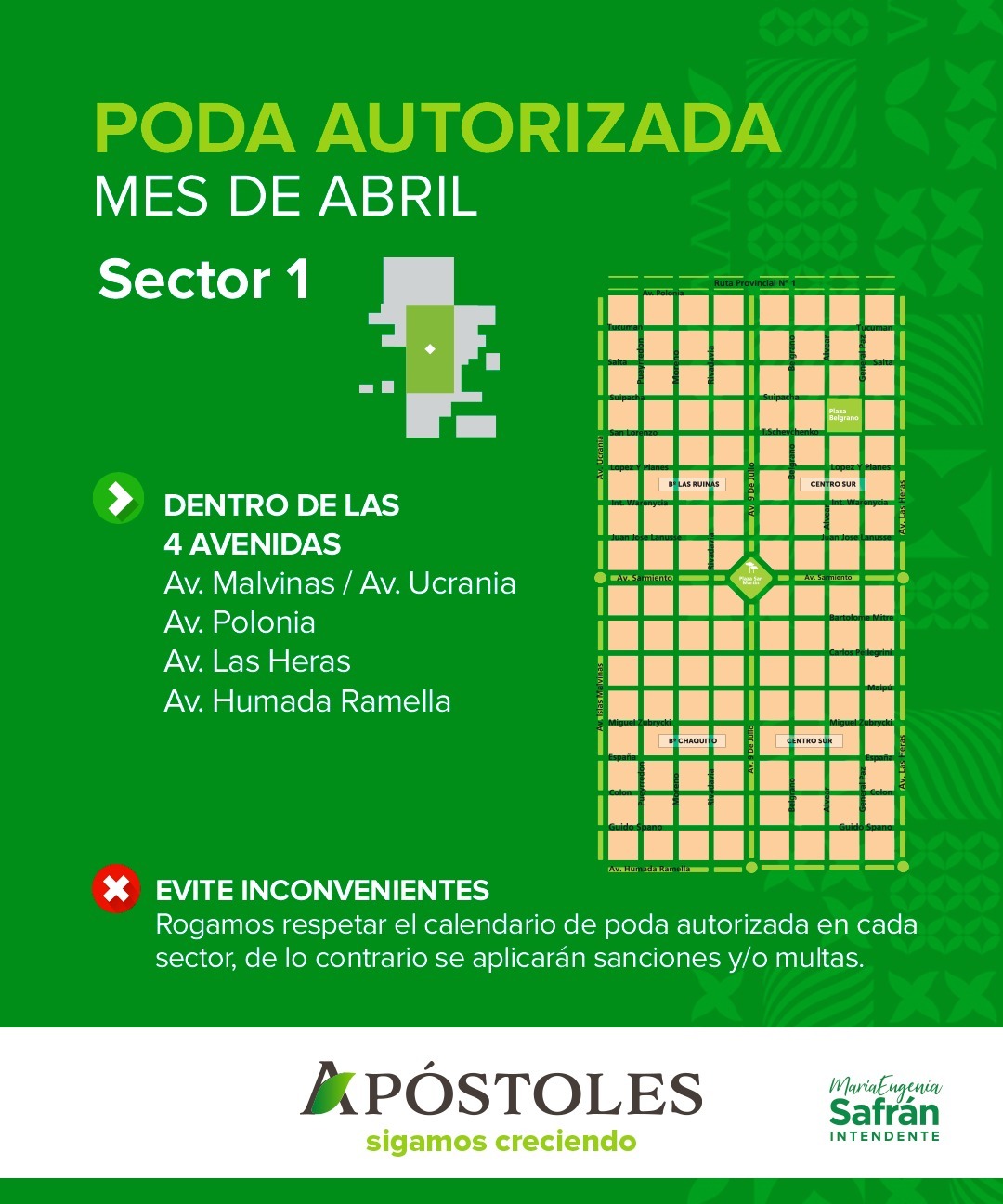 En abril se realiza el Sector 1 de Poda Autorizada de Arboles