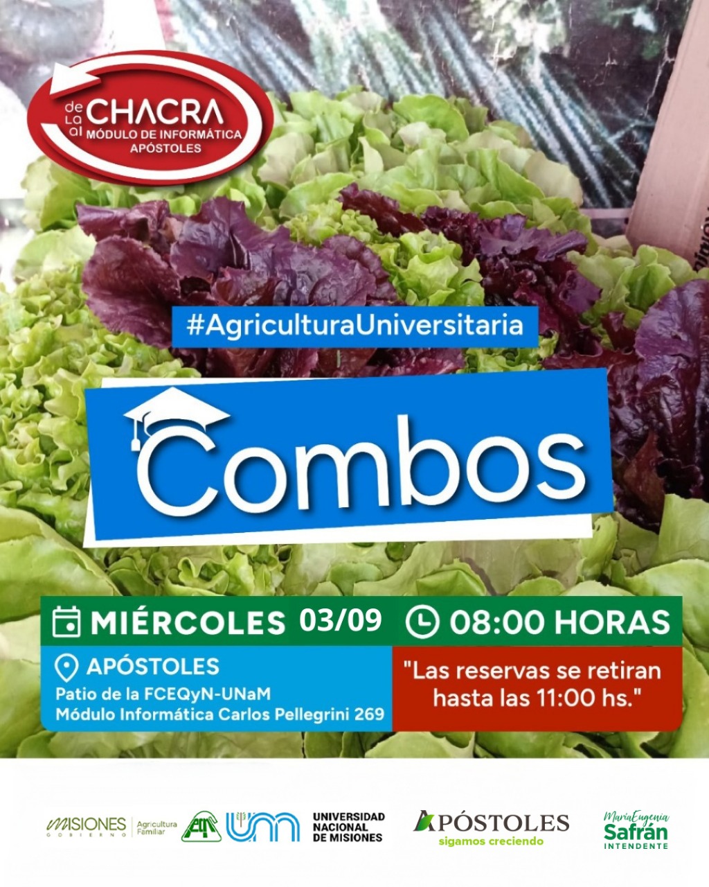 Este miércoles 3 de septiembre Combos de Miel, Mermeladas y Panificados en el Módulo de Informática de Apóstoles